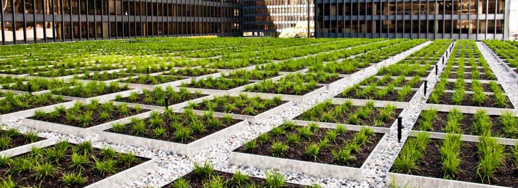 TD Bank Green Roof Toronto ON1